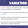 Genetic Variation - Image 4